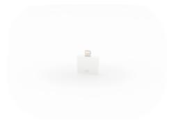 Apple Lightning /30pin  Ad