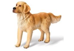 tiptoi® Golden Retriever tiptoi® Golden Retriever