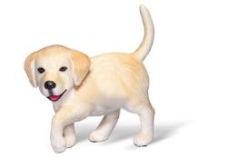 tiptoi® Golden Retriever tiptoi® Golden Retriever