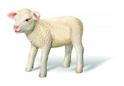 tiptoi® Lamm, Alter: ab 4 tiptoi® Lamm, Alter: ab 4