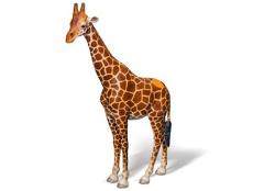 tiptoi® Giraffe, Alter: a tiptoi® Giraffe, Alter: a