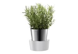 Auerhahn HERBS@HOME Kräut